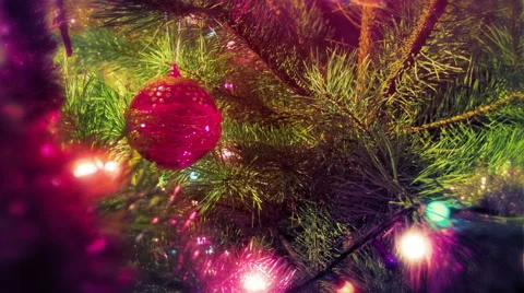 Beautiful view dolly shot camera, Christmas pine tree. Red ball. New Year mood. Stock Footage 45820040