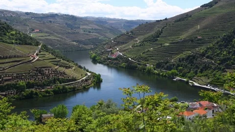 Beautiful view of the Douro river and valley landscape in Portugal Stock Footage 307770685