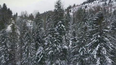 A Beautiful View From the Drone Camera Shows a Fabulous Winter Landscape Stock Footage 163171795