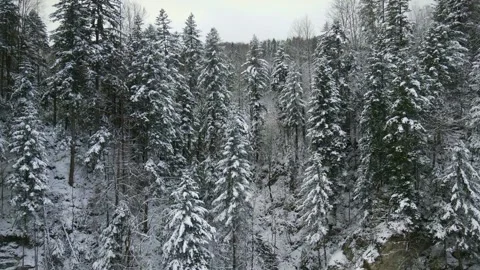 A Beautiful View From the Drone Camera Shows a Fabulous Winter Landscape Stock Footage 163739264