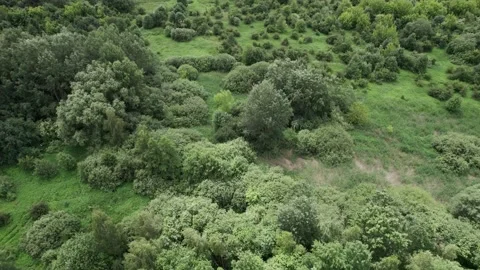 Beautiful view from the drone on a suburbs.  4K Stock Footage 201744025