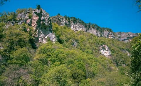 A beautiful view of the Eagle Rocks or White Rocks, overgrown with trees. Stock Photos