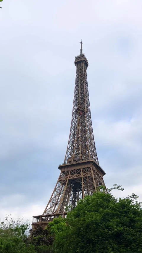 Beautiful view of Eiffel Tower through green trees in spring park in Paris. Stock Footage 311942459