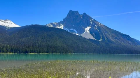 Beautiful view on the Emerald lake. Canada, Yoho National Park, Rocky Mountains. Stock Footage 341469535