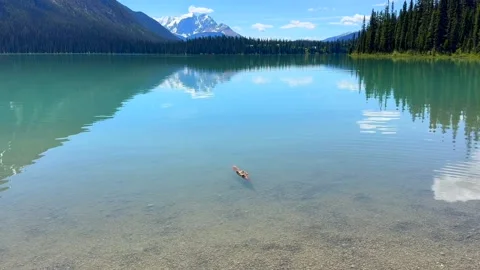 Beautiful view on the Emerald lake. Canada, Yoho National Park, Rocky Mountains. Stock Footage 341469615