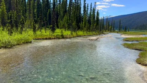 Beautiful view on the Emerald lake. Canada, Yoho National Park, Rocky Mountains. Stock Footage 341469643