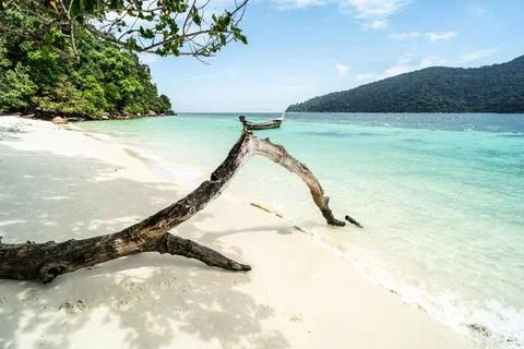 Beautiful view of empty tropical beach with old branch and long tail boat a.. Stock Photos