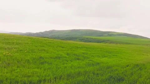 Beautiful view of endless green mountain field on cloudy spring day. Drone fl Stock Footage 158357571