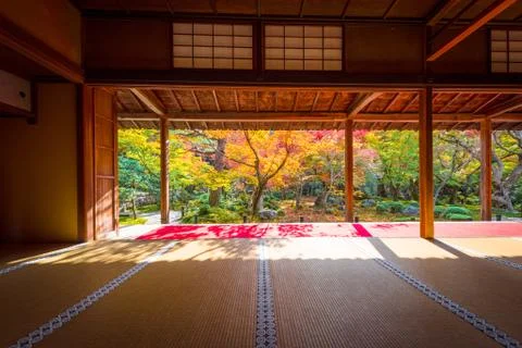 Beautiful view of fall maple trees through big framed. 写真素材