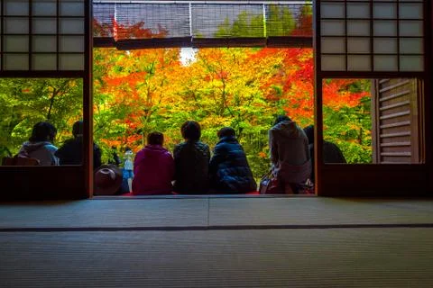 Beautiful view of fall maple trees through big framed. Foto stock
