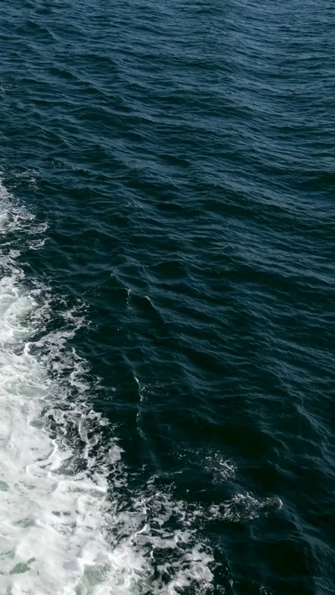 Beautiful View of a Ferry Boat passing in the Gulf Islands Narrows during a Stock Footage 301300242