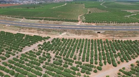 Beautiful view of fields and highway from air Stock Footage 54331080