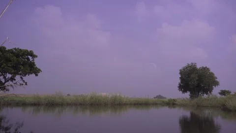 A beautiful view of the fields of Bengal in autumn Video stock 248783705