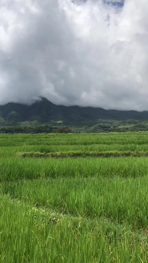 Beautiful View Video stock 201852152