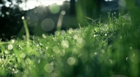 Beautiful view Stock Footage 232390621