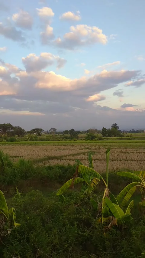 Beautiful view Stock Footage 255889014
