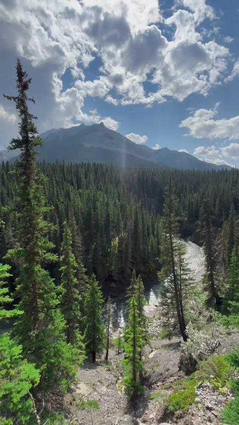 Beautiful view  Stock Footage 296644627