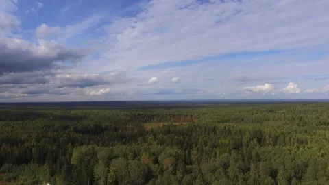 A beautiful view of the forest and a small lake in Karelia Stock Footage