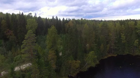 A beautiful view of the forest and a small lake in Karelia Stock Footage 151912739