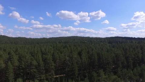 A beautiful view of the forest and a small lake in Karelia Stock Footage 151912805