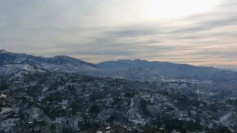 Beautiful view of the forest in the mountains in winter Video stock 161985444
