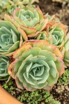 Beautiful view in forest Stock Photos