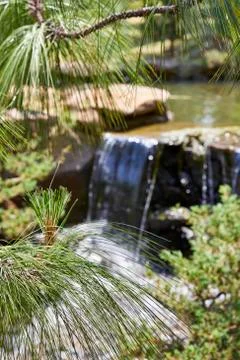 Beautiful view in forest Stock Photos