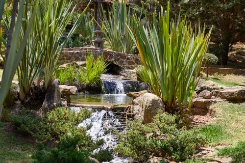 Beautiful view in forest Stock Photos