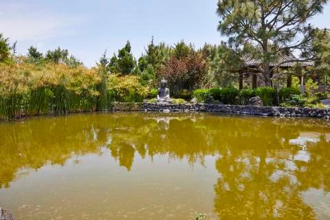 Beautiful view in forest Stock Photos