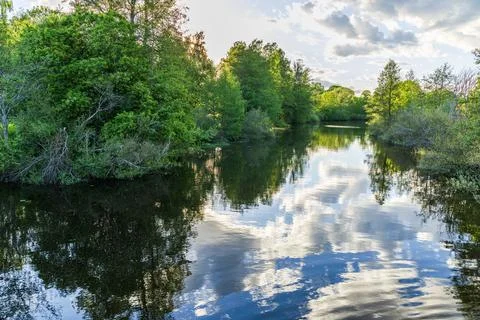 Beautiful view of forest river with cloud reflections surrounded by green trees. Stock Photos