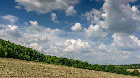 Beautiful View of The Forest With Sky. Video Time-Lapse Stock Footage 133013031