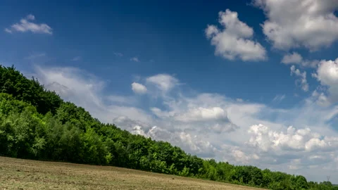Beautiful View of The Forest With Sky. Video Time-Lapse Stock Footage 133013053
