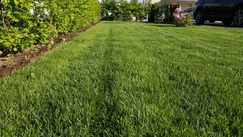 Beautiful view of front yard of private garden. Video stock 90235422