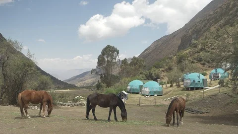 Beautiful View of Geodesic domes and wild horses near Lake Humantay Cusco, Peru. Видео 125288574