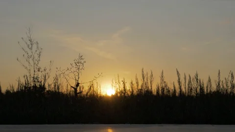 Beautiful view from the grass to the setting sun Stock Footage 127590368