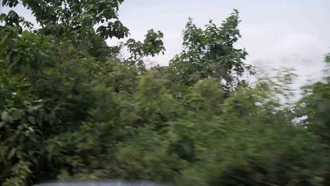 Beautiful view of a green climate Stock Footage 108491649