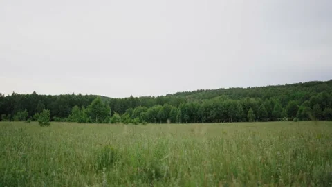 Beautiful view of a green field on a cloudy spring day. Against the background Stock Footage 133713565