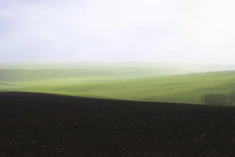 Beautiful view of green fields outside the city. Stock Photos