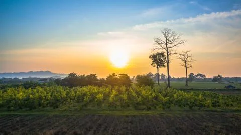Beautiful view of green fields Stock Photos