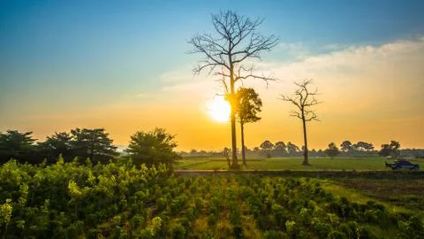 Beautiful view of green fields Stock Photos