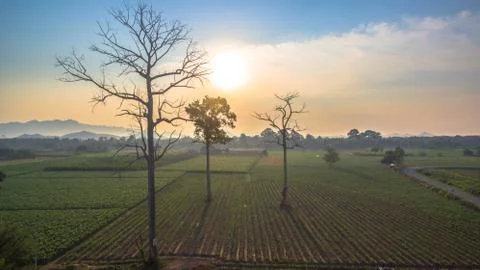 Beautiful view of green fields Stock Photos