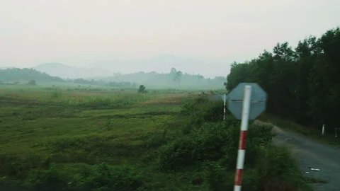 Beautiful view of the green meadow Stock Footage 73569698