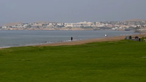 Beautiful view of a green patch of grass along a beach off the coast of Oman Stock Footage 89164255