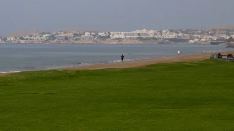 Beautiful view of a green patch of grass along a beach off the coast of Oman Stock Footage 89164401
