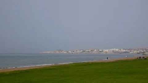 Beautiful view of a green patch of grass along a beach off the coast of Oman Stock Footage 89170641