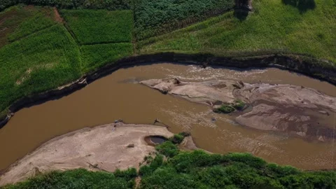Beautiful view in green symmetrical cornfields in rural area along the river. Stock Footage 296308890