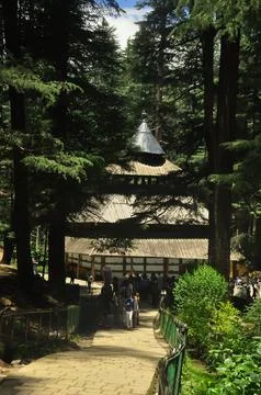 Beautiful view of Hadimba Devi Temple in between cedar trees Stock Photos
