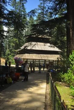 Beautiful view of Hadimba Devi Temple in between cedar trees Stock Photos