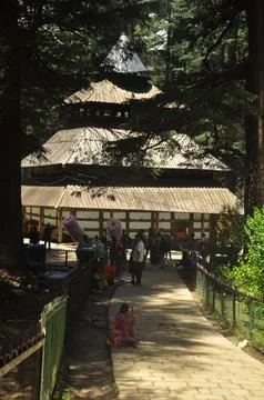 Beautiful view of Hadimba Devi Temple in between cedar trees Foto stock