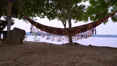 Beautiful view of handmade hammock in trees on the bank of the Juruena River   Stock Footage 232703757